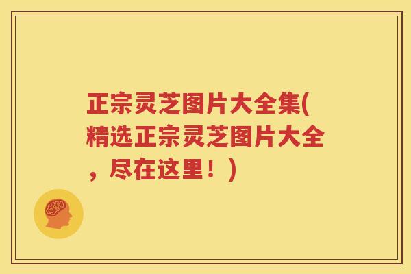 正宗灵芝图片大全集(精选正宗灵芝图片大全，尽在这里！)