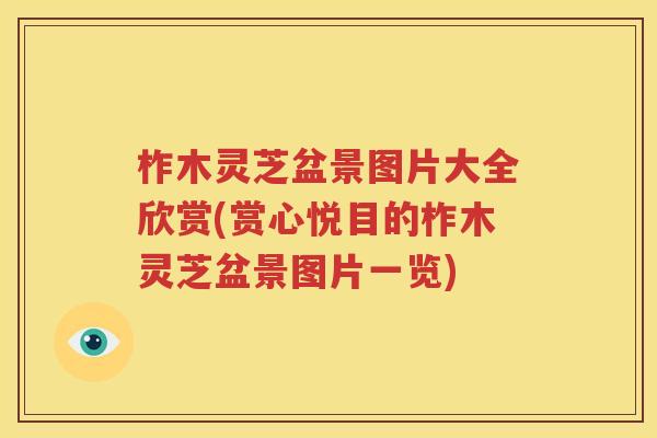 柞木灵芝盆景图片大全欣赏(赏心悦目的柞木灵芝盆景图片一览)