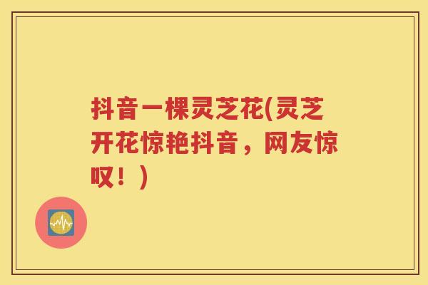抖音一棵灵芝花(灵芝开花惊艳抖音，网友惊叹！)