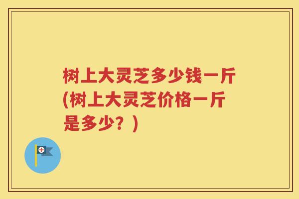 树上大灵芝多少钱一斤(树上大灵芝价格一斤是多少？)