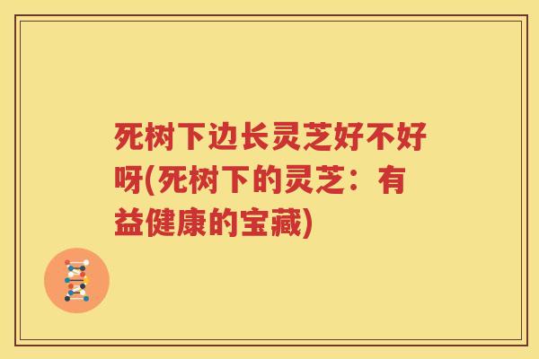死树下边长灵芝好不好呀(死树下的灵芝：有益健康的宝藏)