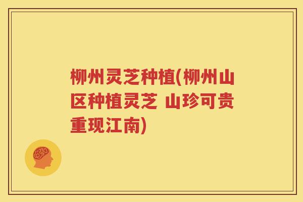 柳州灵芝种植(柳州山区种植灵芝 山珍可贵重现江南)
