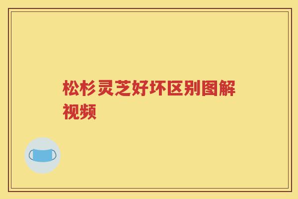 松杉灵芝好坏区别图解视频