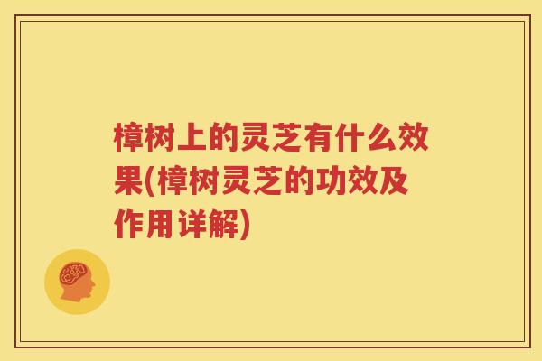 樟树上的灵芝有什么效果(樟树灵芝的功效及作用详解)