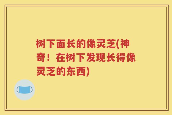 树下面长的像灵芝(神奇！在树下发现长得像灵芝的东西)