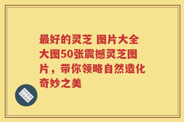 最好的灵芝 图片大全大图50张震撼灵芝图片，带你领略自然造化奇妙之美