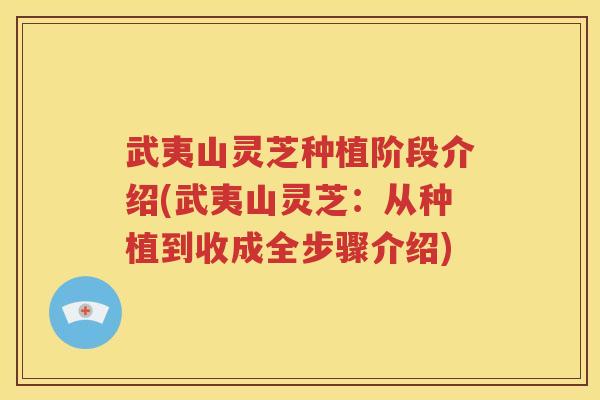 武夷山灵芝种植阶段介绍(武夷山灵芝：从种植到收成全步骤介绍)
