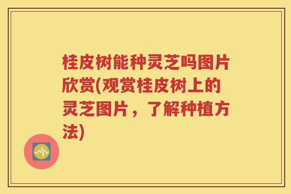 桂皮树能种灵芝吗图片欣赏(观赏桂皮树上的灵芝图片，了解种植方法)