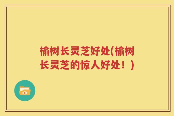 榆树长灵芝好处(榆树长灵芝的惊人好处！)
