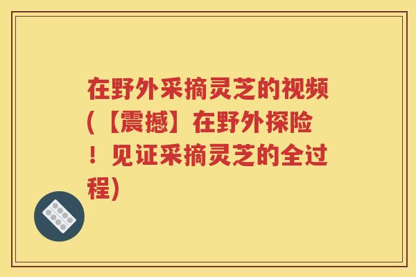在野外采摘灵芝的视频(【震撼】在野外探险！见证采摘灵芝的全过程)