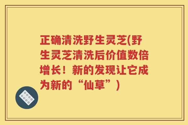 正确清洗野生灵芝(野生灵芝清洗后价值数倍增长！新的发现让它成为新的“仙草”)