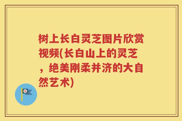 树上长白灵芝图片欣赏视频(长白山上的灵芝，绝美刚柔并济的大自然艺术)