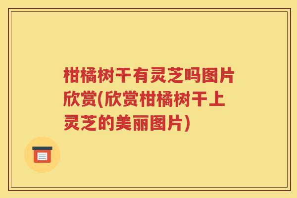 柑橘树干有灵芝吗图片欣赏(欣赏柑橘树干上灵芝的美丽图片)