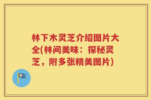 林下木灵芝介绍图片大全(林间美味：探秘灵芝，附多张精美图片)