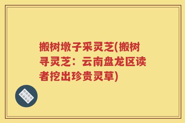 搬树墩子采灵芝(搬树寻灵芝：云南盘龙区读者挖出珍贵灵草)