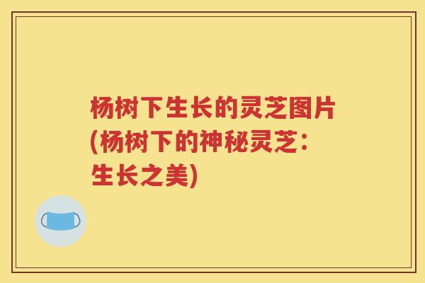 杨树下生长的灵芝图片(杨树下的神秘灵芝：生长之美)