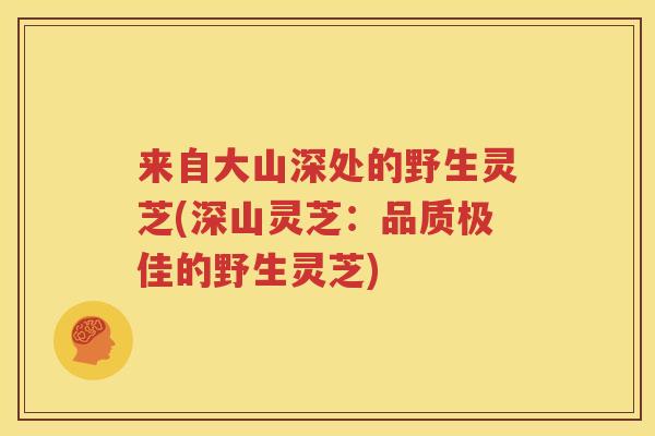 来自大山深处的野生灵芝(深山灵芝：品质极佳的野生灵芝)