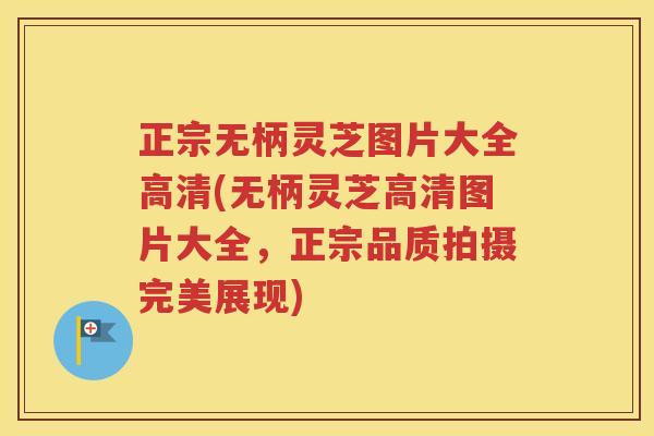 正宗无柄灵芝图片大全高清(无柄灵芝高清图片大全，正宗品质拍摄完美展现)