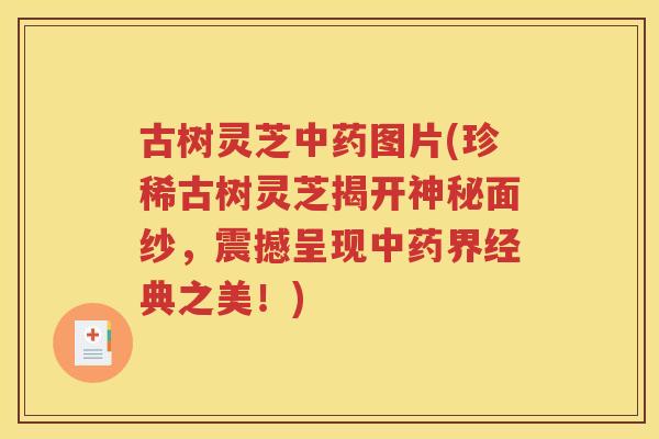古树灵芝中药图片(珍稀古树灵芝揭开神秘面纱，震撼呈现中药界经典之美！)
