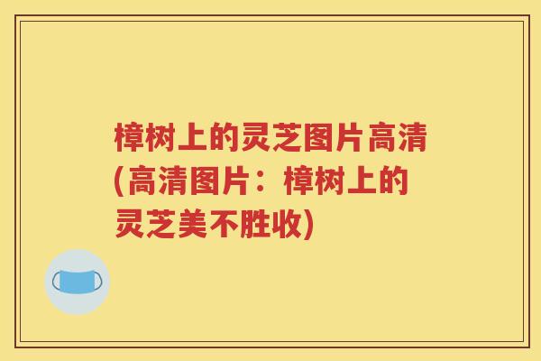 樟树上的灵芝图片高清(高清图片：樟树上的灵芝美不胜收)