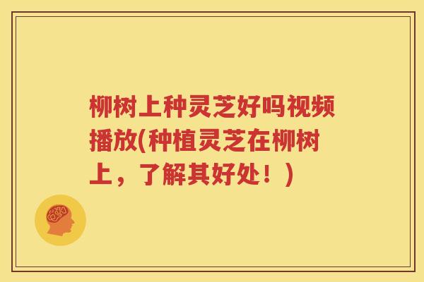 柳树上种灵芝好吗视频播放(种植灵芝在柳树上，了解其好处！)