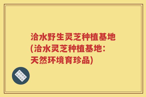 洽水野生灵芝种植基地(洽水灵芝种植基地：天然环境育珍品)