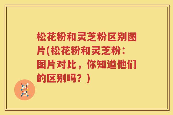 松花粉和灵芝粉区别图片(松花粉和灵芝粉：图片对比，你知道他们的区别吗？)