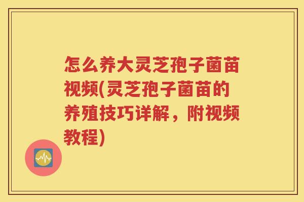 怎么养大灵芝孢子菌苗视频(灵芝孢子菌苗的养殖技巧详解，附视频教程)