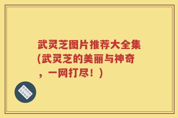 武灵芝图片推荐大全集(武灵芝的美丽与神奇，一网打尽！)
