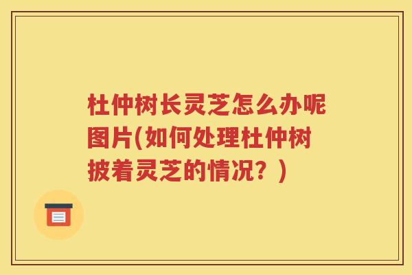杜仲树长灵芝怎么办呢图片(如何处理杜仲树披着灵芝的情况？)