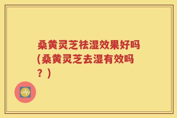 桑黄灵芝祛湿效果好吗(桑黄灵芝去湿有效吗？)