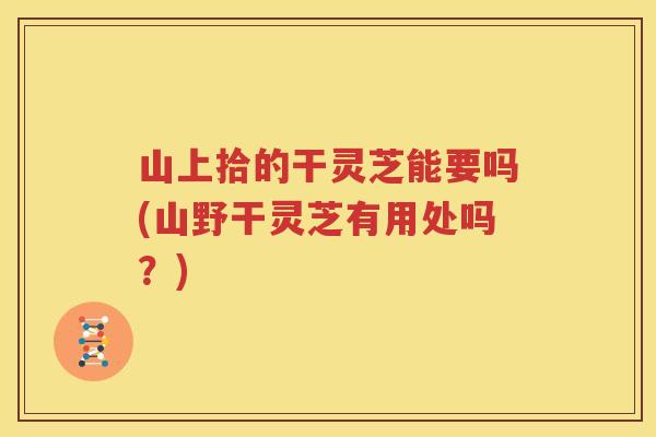 山上拾的干灵芝能要吗(山野干灵芝有用处吗？)