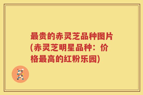 最贵的赤灵芝品种图片(赤灵芝明星品种：价格最高的红粉乐园)