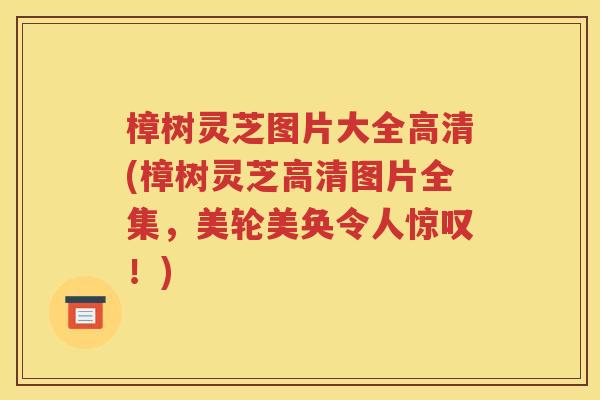 樟树灵芝图片大全高清(樟树灵芝高清图片全集，美轮美奂令人惊叹！)