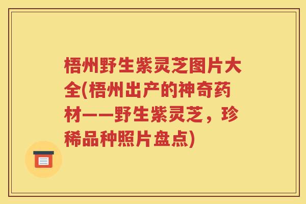 梧州野生紫灵芝图片大全(梧州出产的神奇药材——野生紫灵芝，珍稀品种照片盘点)