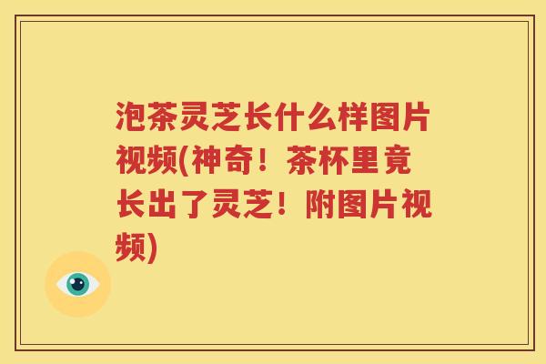 泡茶灵芝长什么样图片视频(神奇！茶杯里竟长出了灵芝！附图片视频)