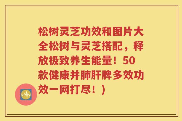 松树灵芝功效和图片大全松树与灵芝搭配，释放极致养生能量！50款健康并肺肝脾多效功效一网打尽！)