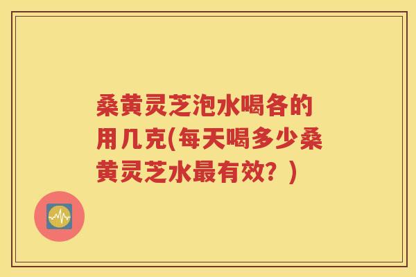 桑黄灵芝泡水喝各的 用几克(每天喝多少桑黄灵芝水最有效？)