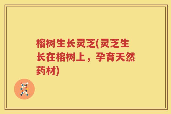榕树生长灵芝(灵芝生长在榕树上，孕育天然药材)