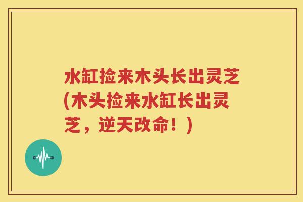 水缸捡来木头长出灵芝(木头捡来水缸长出灵芝，逆天改命！)