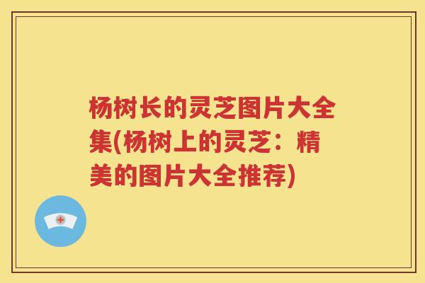 杨树长的灵芝图片大全集(杨树上的灵芝：精美的图片大全推荐)