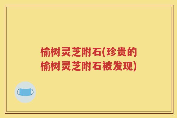 榆树灵芝附石(珍贵的榆树灵芝附石被发现)