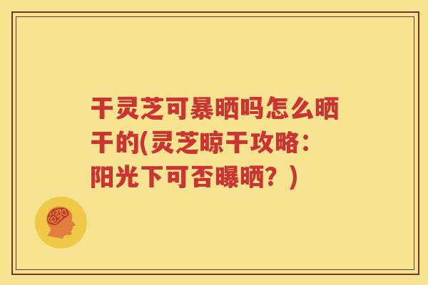 干灵芝可暴晒吗怎么晒干的(灵芝晾干攻略：阳光下可否曝晒？)