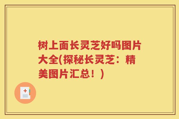 树上面长灵芝好吗图片大全(探秘长灵芝：精美图片汇总！)