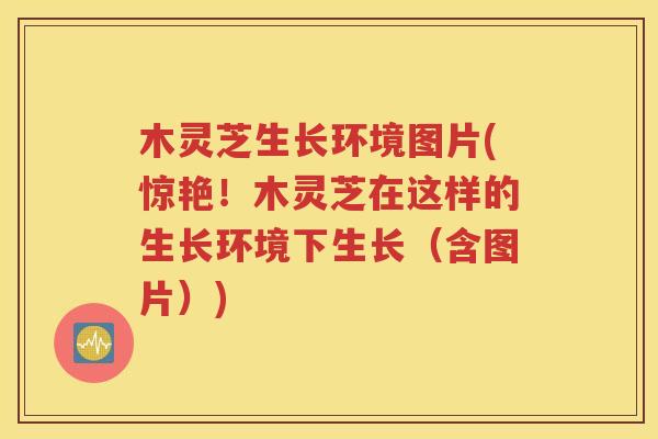 木灵芝生长环境图片(惊艳！木灵芝在这样的生长环境下生长（含图片）)
