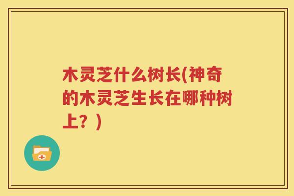 木灵芝什么树长(神奇的木灵芝生长在哪种树上？)