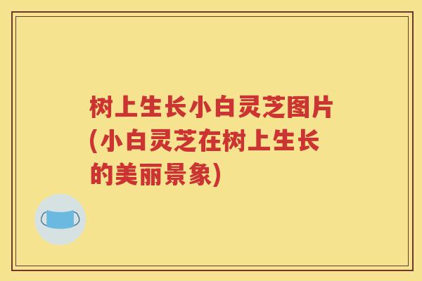 树上生长小白灵芝图片(小白灵芝在树上生长的美丽景象)