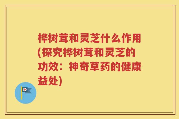 桦树茸和灵芝什么作用(探究桦树茸和灵芝的功效：神奇草药的健康益处)