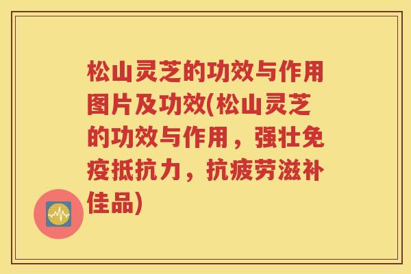 松山灵芝的功效与作用图片及功效(松山灵芝的功效与作用，强壮免疫抵抗力，抗疲劳滋补佳品)