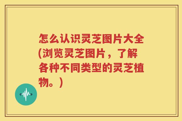 怎么认识灵芝图片大全(浏览灵芝图片，了解各种不同类型的灵芝植物。)